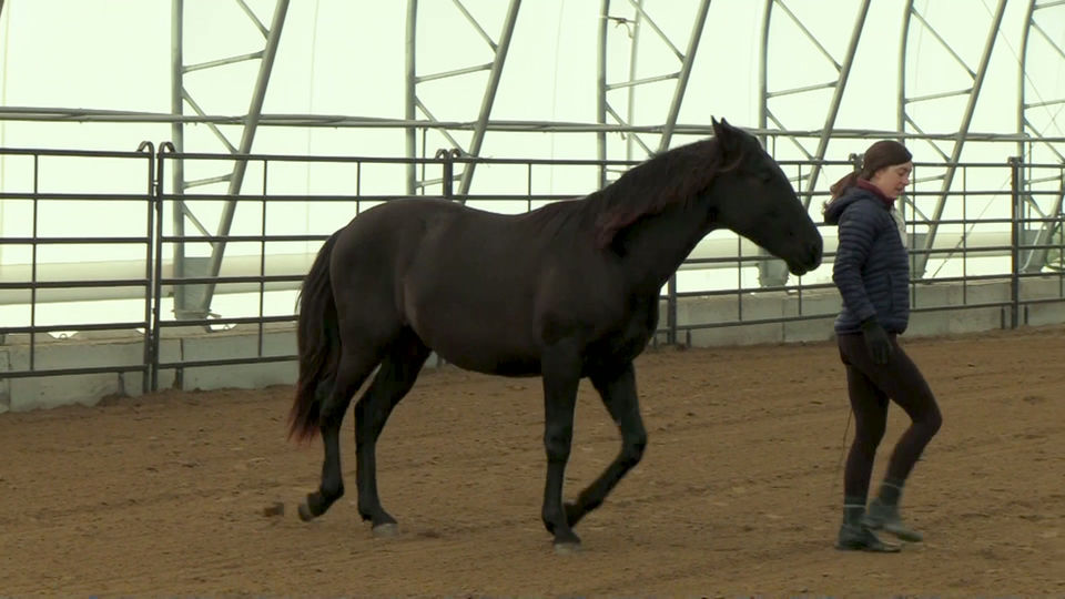 Liberty Warm Up with Vendetta